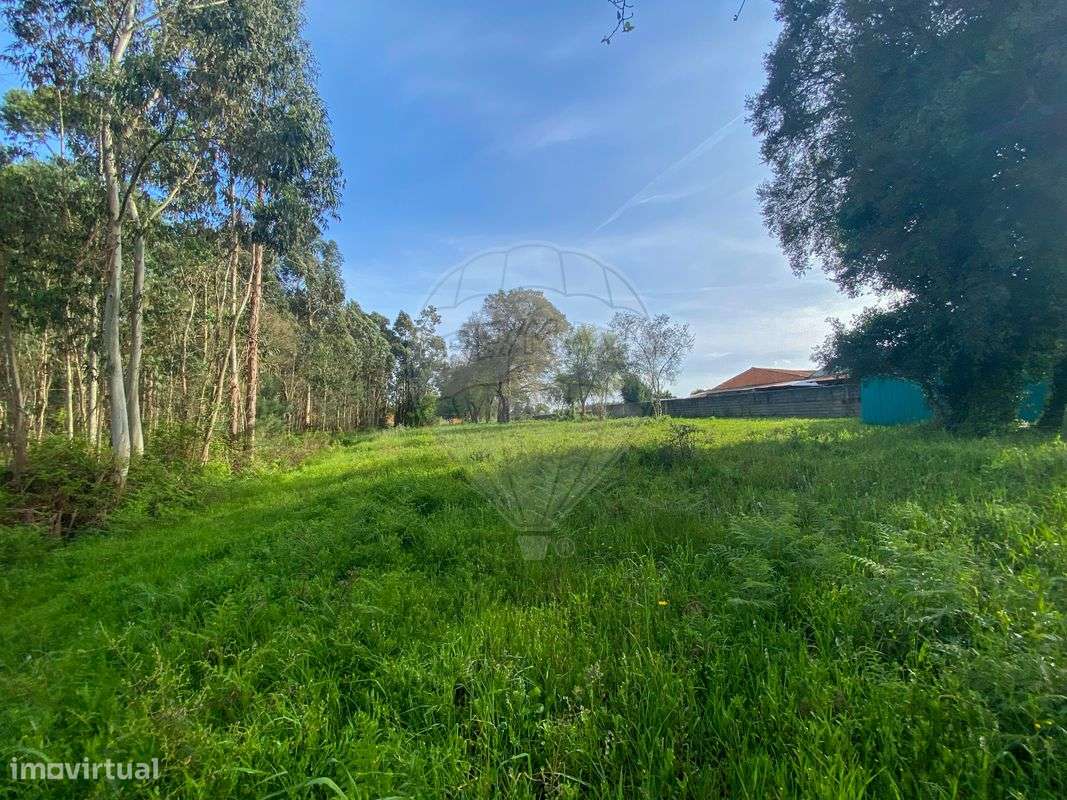 Terreno  para venda - Grande imagem: 5/17