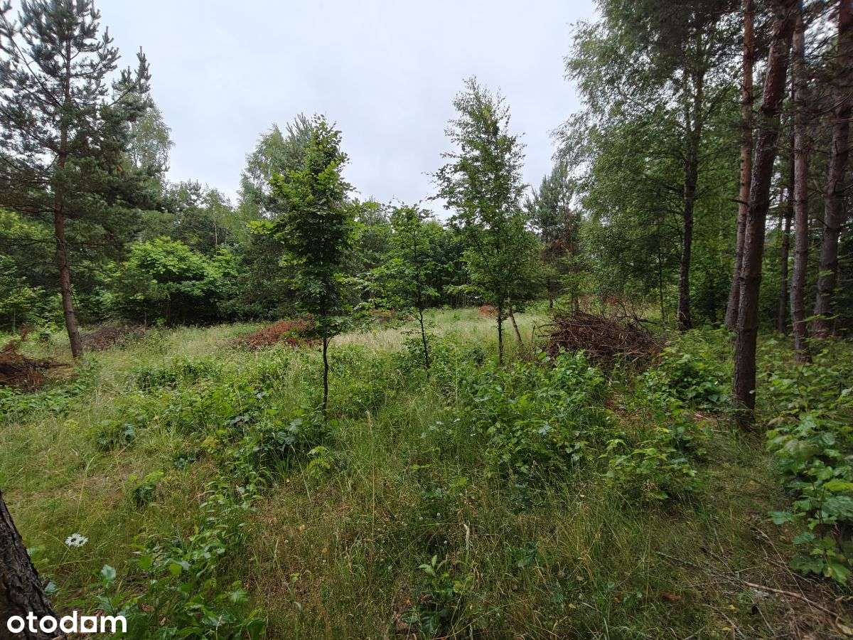 Działka budowlana Parchowski Młyn blisko jeziora.-12