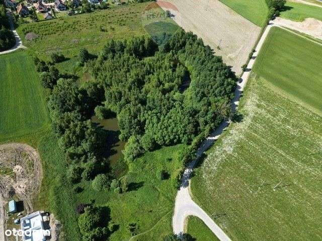 Piękna działka pod siedlisko przy Gdańsku - Pełny obrazek: 5/5