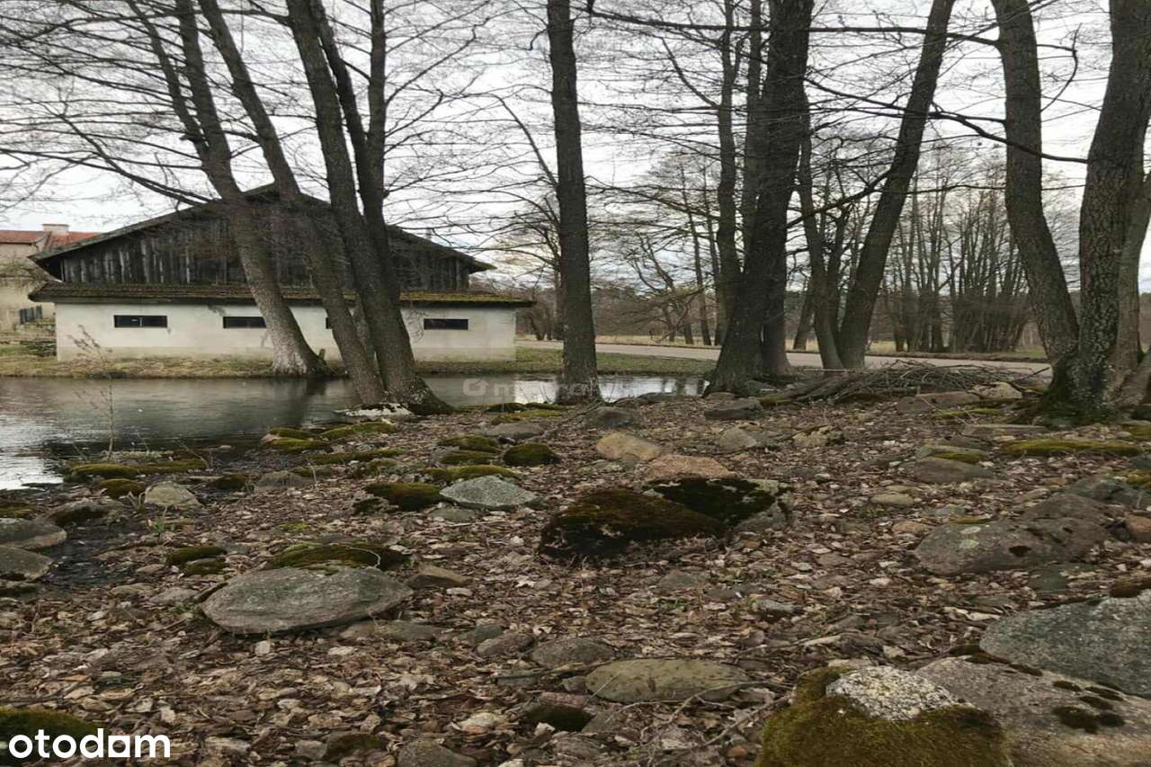 Pięknie położone siedlisko, w okolicach Olsztyna - Pełny obrazek: 4/20