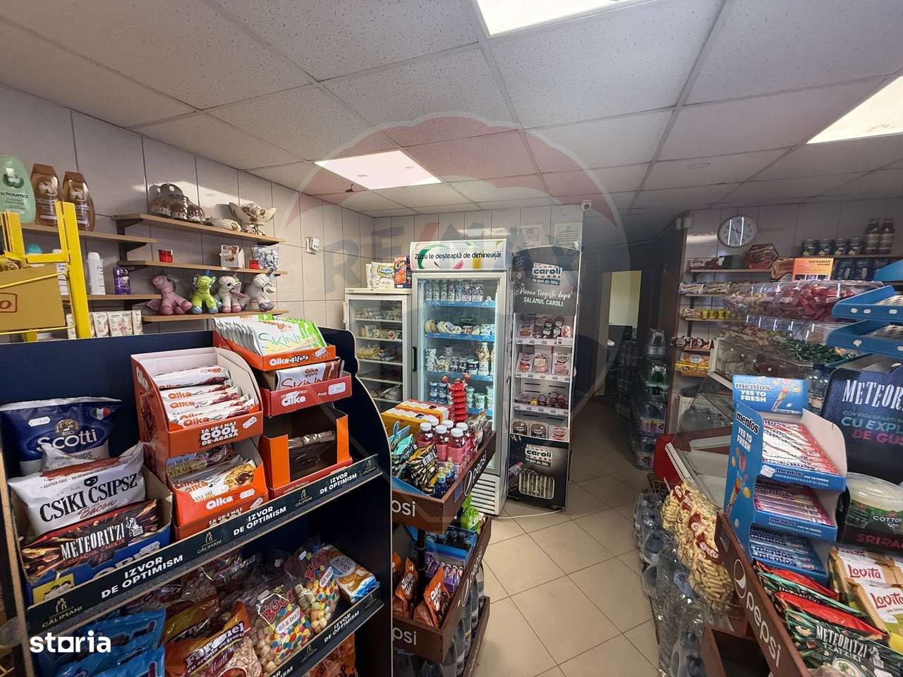 Spațiu comercial cu potențial extraordinar-13