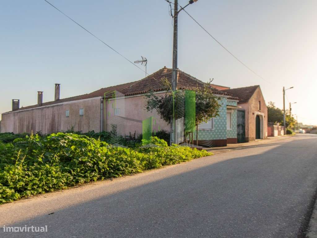 Terreno Venda Cantanhede - Grande imagem: 2/13