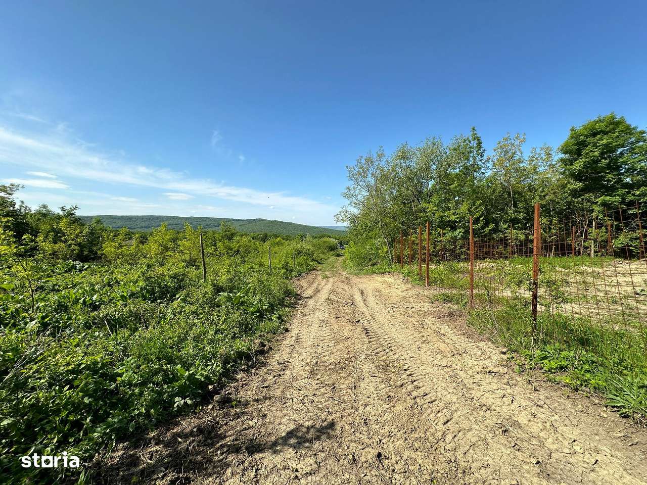 Teren intravilan de la 750mp la 3000mp, Barnova, str. Sf. Ap. Petru - Imagine principală: 5/7