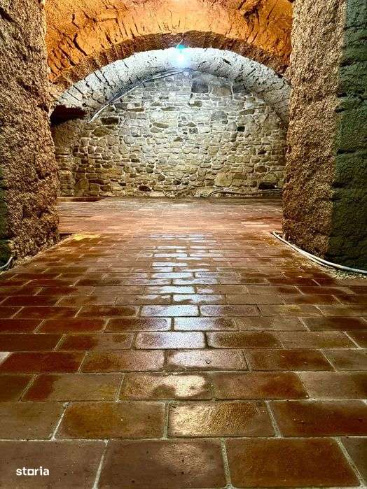 Spatiu 170 mp utili, toate utilitatile disponibile, zona Regele Ferdin - Imagine principală: 2/4