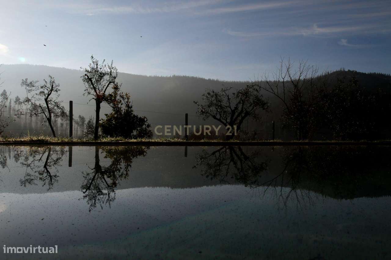 Charmosa Quinta em Castelo de Paiva-13