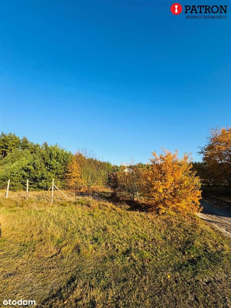 Sprzedam działkę o pow. 2 438 m² w Rurzycy-5