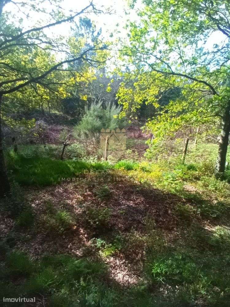 Terreno Rústico com 800 m² - Fonte Arcada - Grande imagem: 4/7