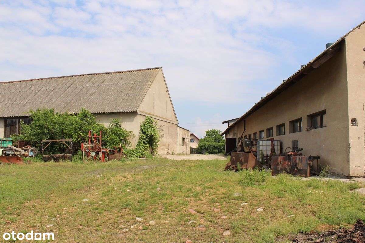 Dom jednorodzinny - Pełny obrazek: 4/15