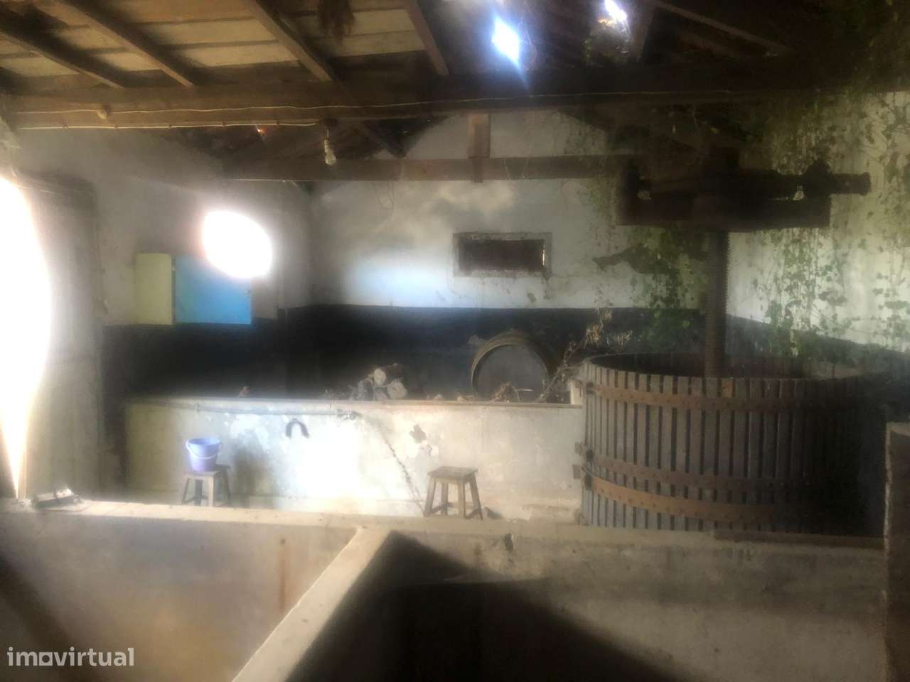 Casa de campo - 6 km do Rio Douro - Régua-6