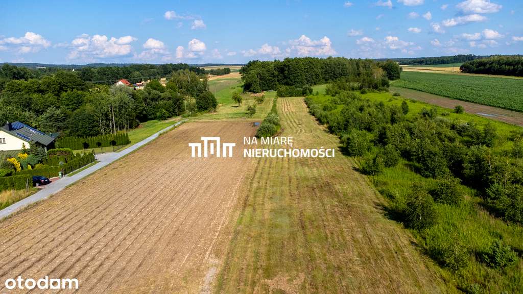 Duża działka rolno-budowlana | 60 ar | możliwa WZ - Pełny obrazek: 3/10