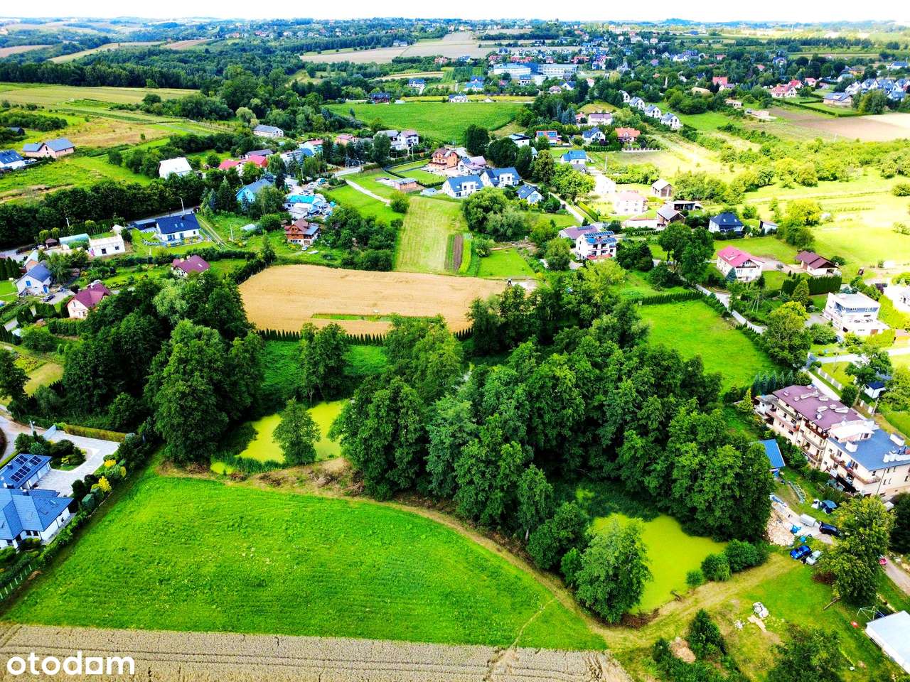 Wyjątkowa działka 81 ar | Przybysławice | staw, zieleń, media, MPZP-5