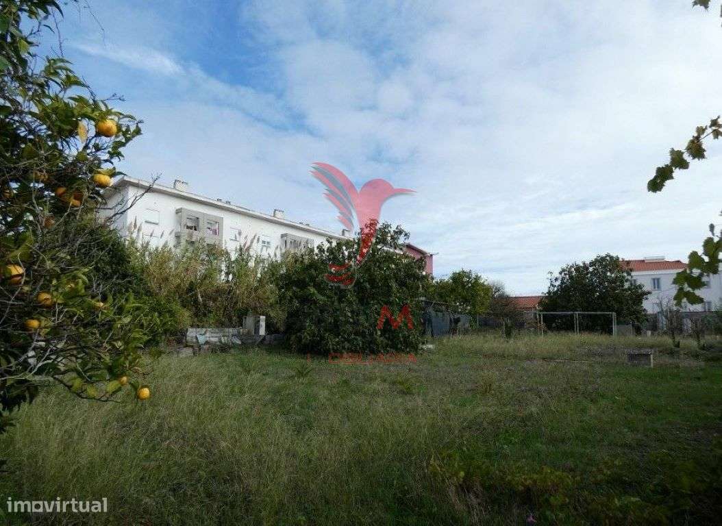 Lote/Terreno para construção de prédio na Ajuda - Grande imagem: 3/7