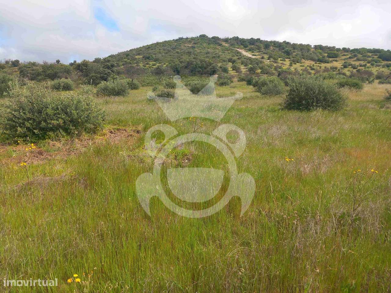 Terreno Rústico com ruína - 3Ha-1