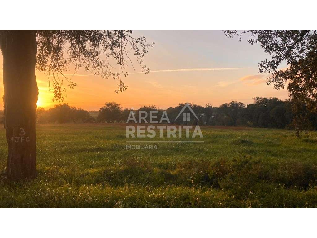 Terreno de 27.750 m2 - Possibilidade de construção até 280 m2 para ... - Grande imagem: 5/35