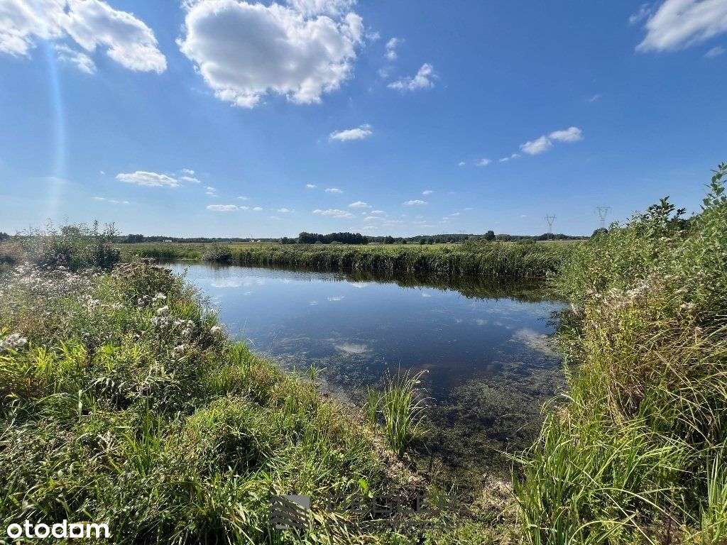 Działka rolna, stawy, wydobycie torfu Santocko - Pełny obrazek: 4/6