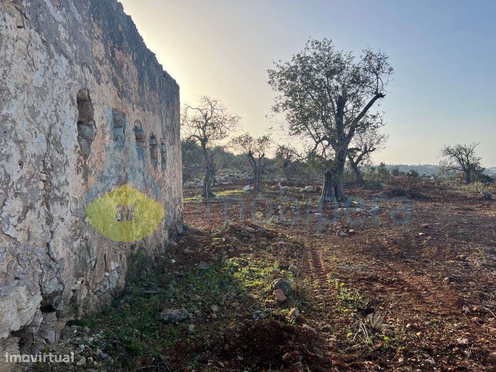 MORADIA EM RUÍNAS COM VISTA EXCLUSIVA PARA O CASTELO DE PADERNE - Grande imagem: 4/13