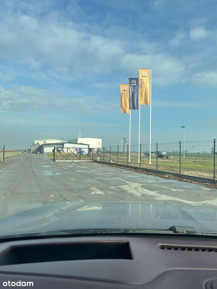 1,19 za nadstawkę!!! NOWA MROŹNIA! Najniższe ceny! - Pełny obrazek: 4/9