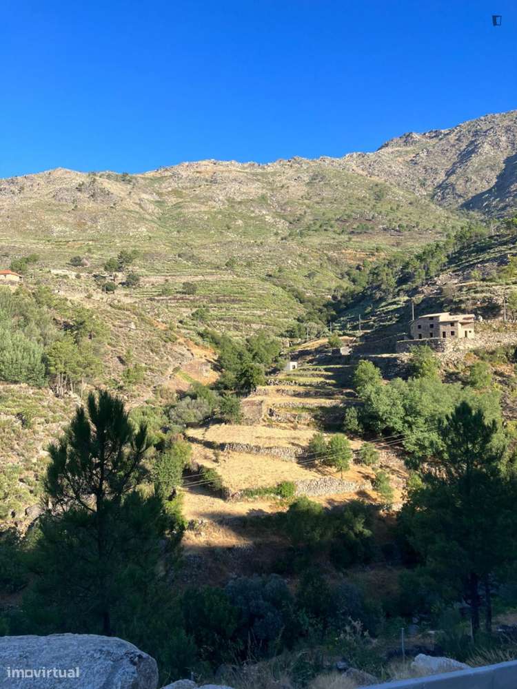 Casa com 3 quartos - localizado em Covilha - Grande imagem: 4/7