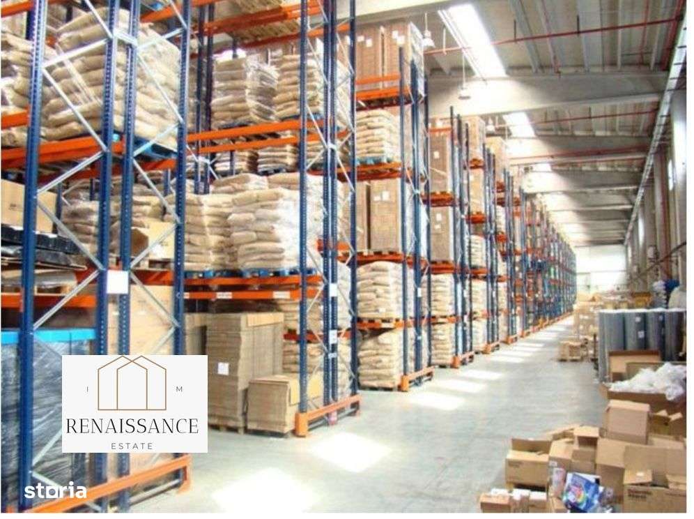 Hala Moderna 6200mp | Panouri Solare - Freidorf - Acces la Centura-6