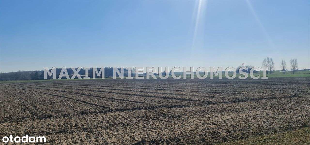 Piękne działki Gostolin gm Załuski - Pełny obrazek: 5/11