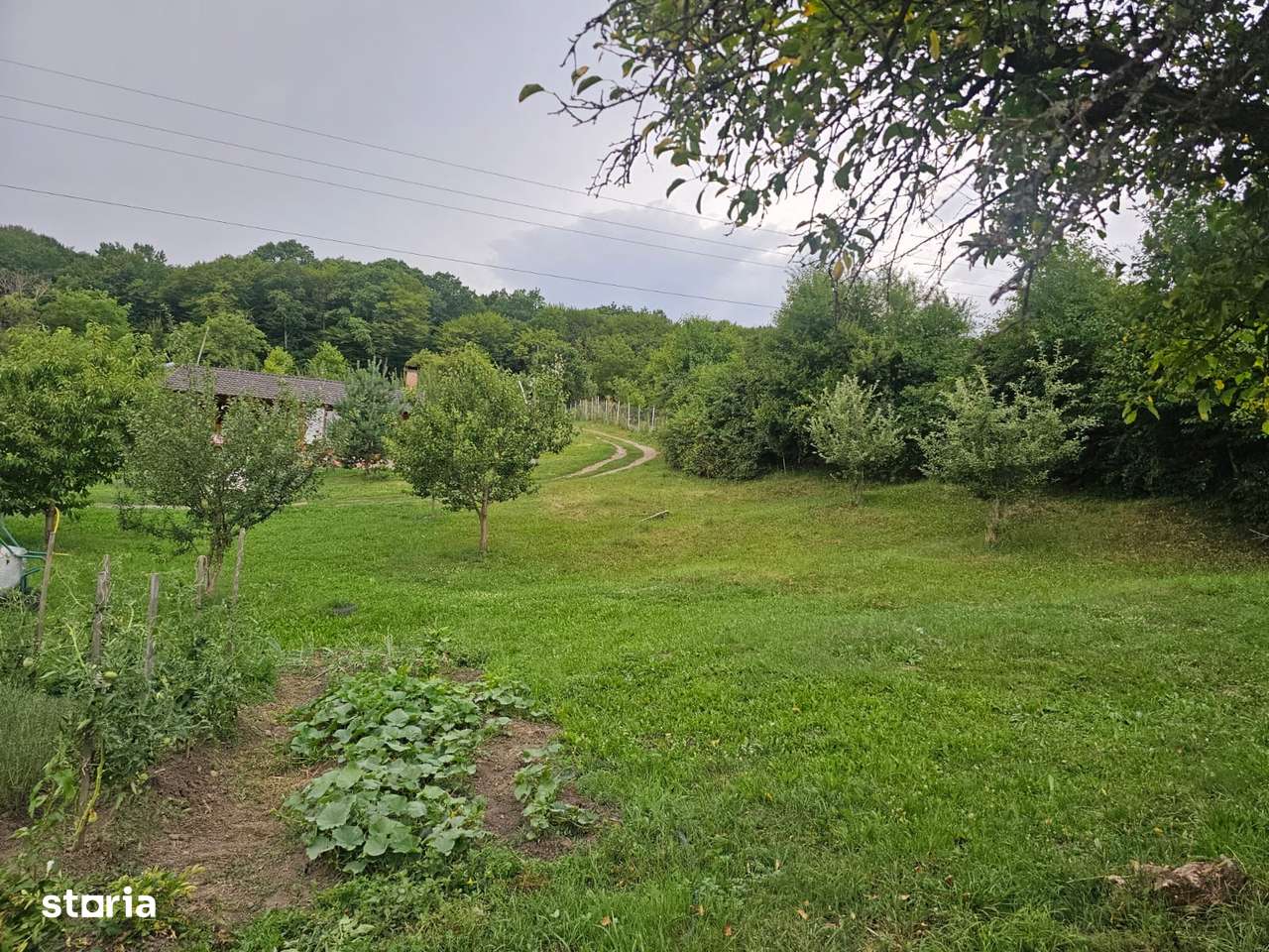 Teren 1.16 ha Valea Rusului – curent, 2 fântâni, căsuță + foișor-8