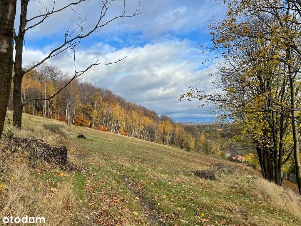 Działka budowlana 2 154m2 - Świeradów Zdrój-16