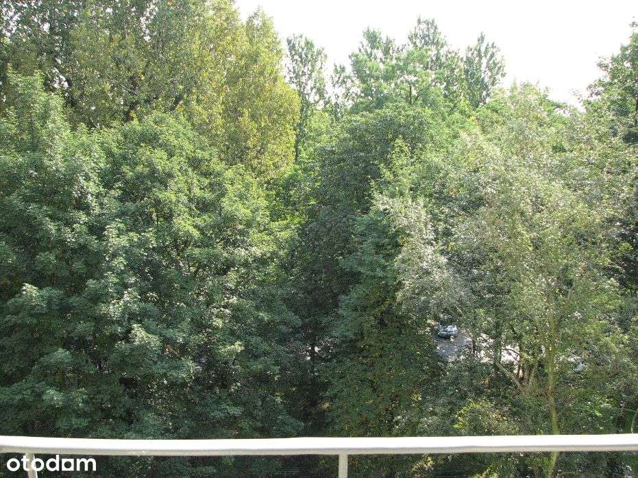 2 pokoje w pełnym rozkładzie z widokiem na korony drzew przy Lnianej!!-9