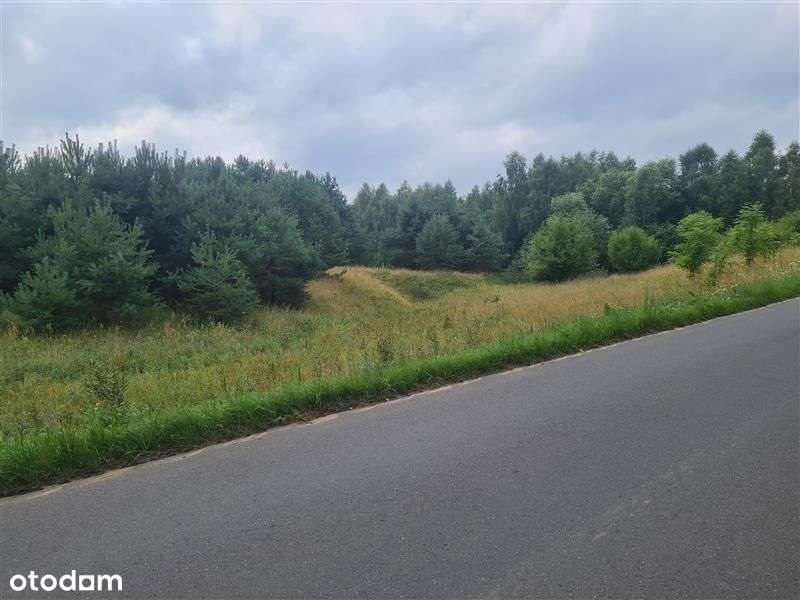 Działka rolna - Tereszewo-3