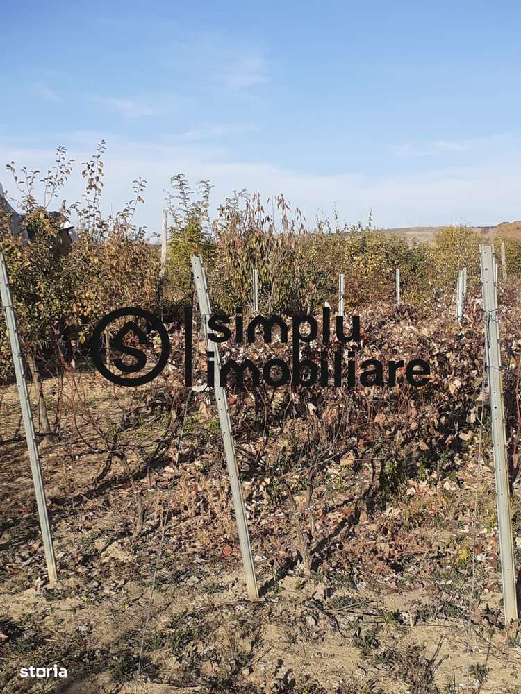 Casa Bradesti, teren 1239 mp - 29 995 Euro - Imagine principală: 5/5