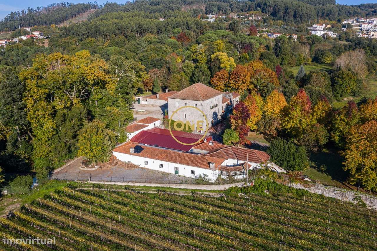 Quinta de 1594 - Grande imagem: 5/44