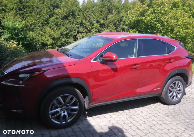 Lexus NX - 5