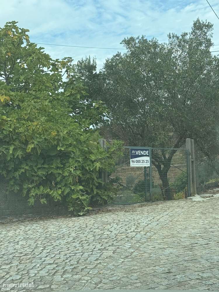 Quinta do Prado em Moura Morta, Régua-36
