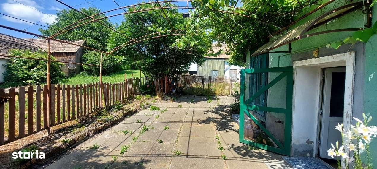 Casa 4 camere cu teren de 1429mp spre vanzare in Altina - Imagine principală: 3/19