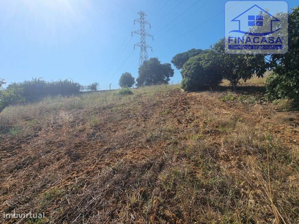 Moradia T4 isolada inserida em terreno com 5000m2 - Camarral (Palmela)-33