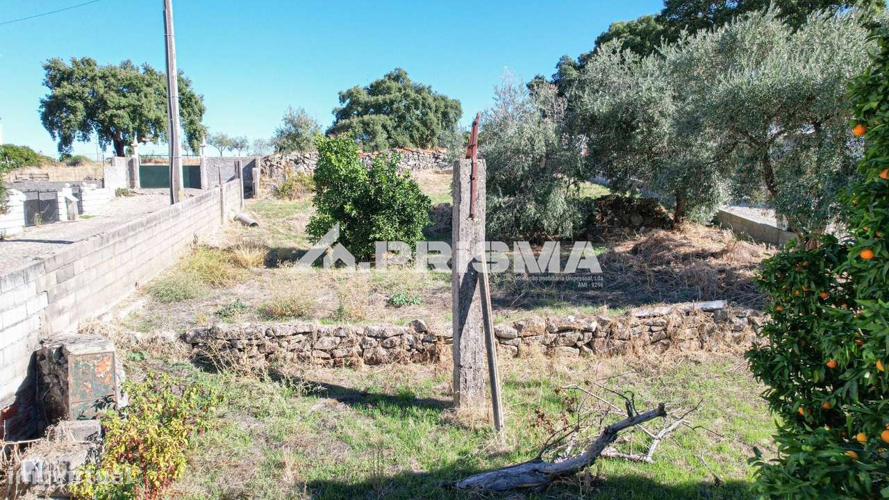 Terreno para venda em Alcains-12