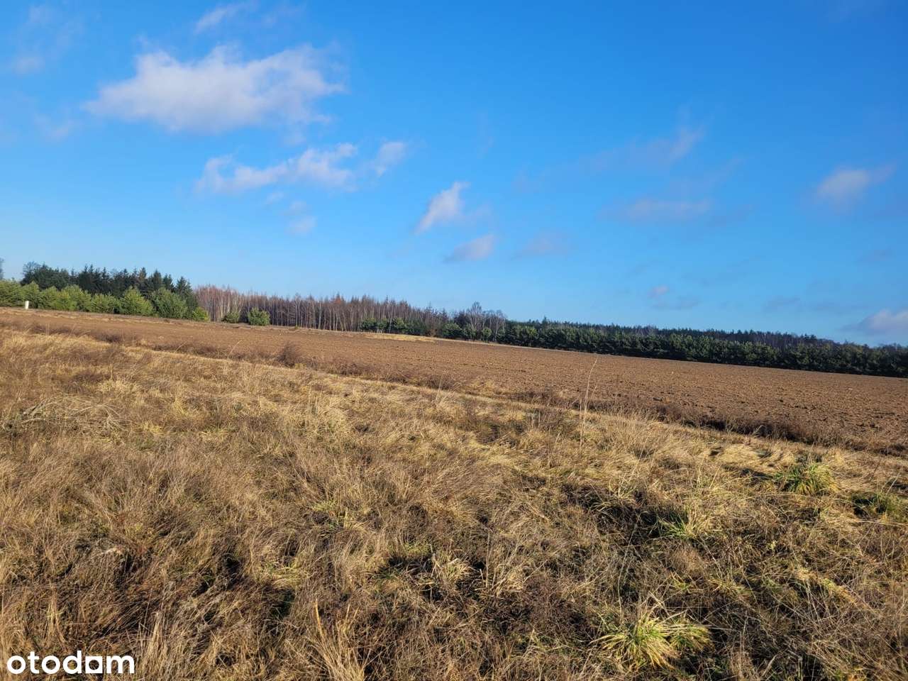 GOŁĄBKI na sprzeedaż działka budowlana 950m2-4