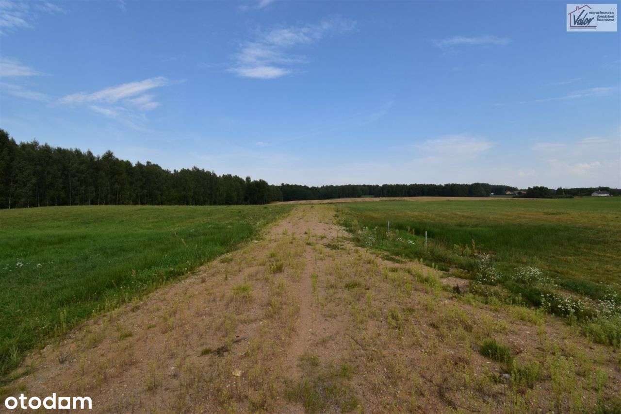 Działka, 3 004 m², Nowe Włóki - Pełny obrazek: 5/10