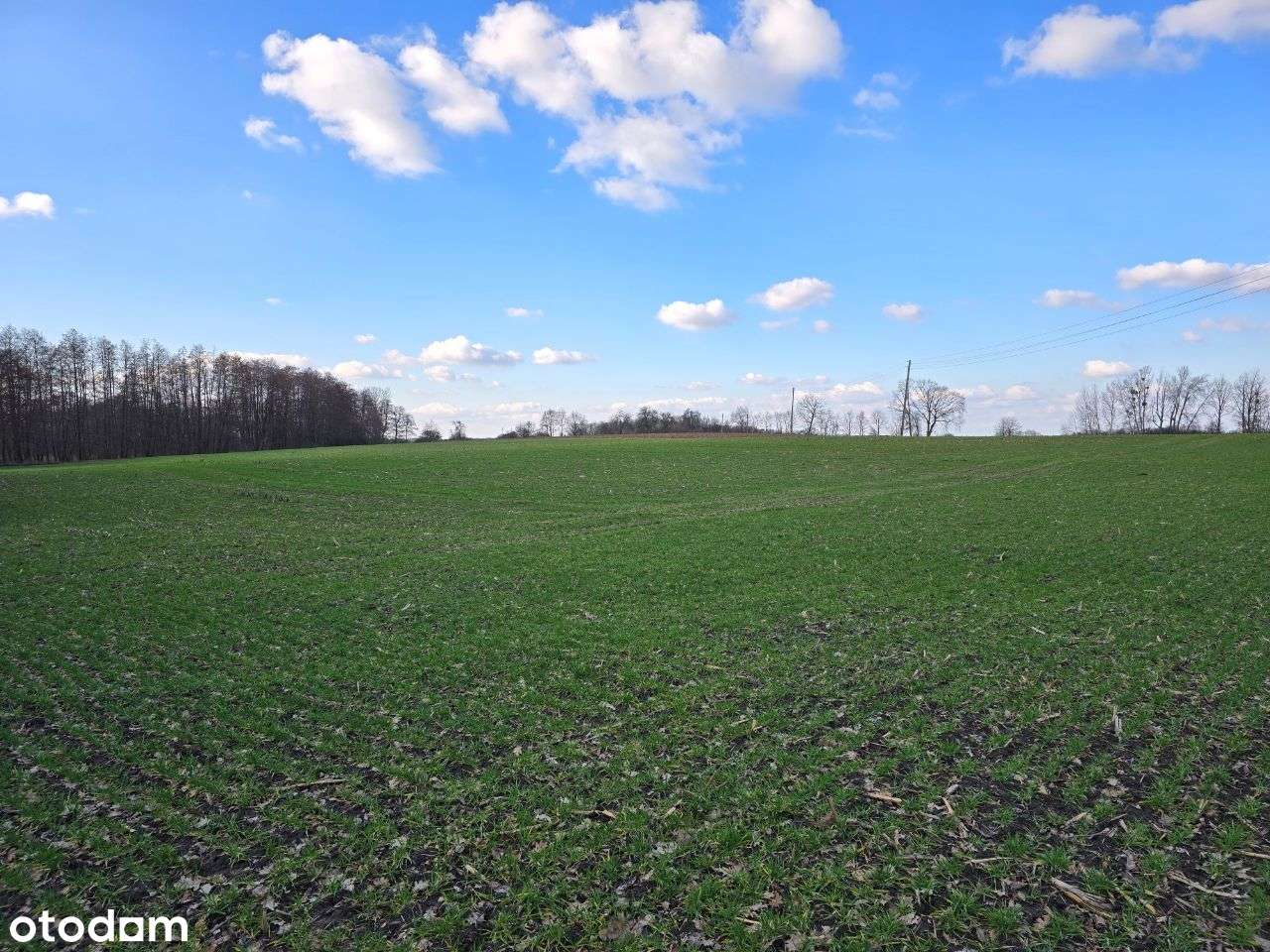 Działki w Jarosławkach 2 z 8szt po 50zł/m2-2