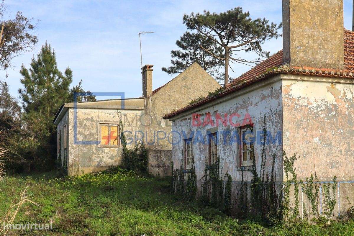 Quintinha com 2 moradias (T2 e T3) no Sobreiro, Mafra - Grande imagem: 2/25