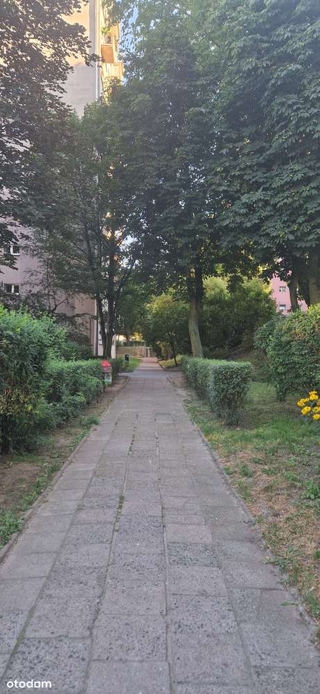 Na sprzedaż mieszkanie 25,52 m² – świetna lokalizacja, duży potencjał! - Pełny obrazek: 3/9