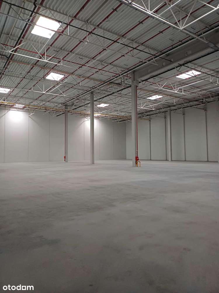 Hala produkcyjna 6300 m2 trafostacja h=8,5 m Pobiedziska Powidz S5