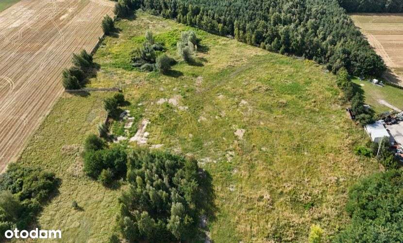 Osiedle działek pod lasem w Biskupicach Ołobocznych Ostrów WLKP Kalisz - Pełny obrazek: 4/9