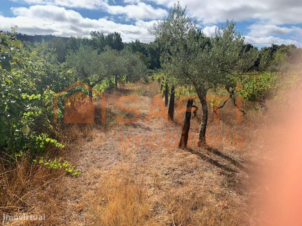 Terreno à venda em Prados - Pinhel-18