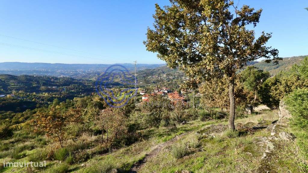 Terreno com Capela em Telhe - Soalhães - Marco de Canaveses - Grande imagem: 5/10