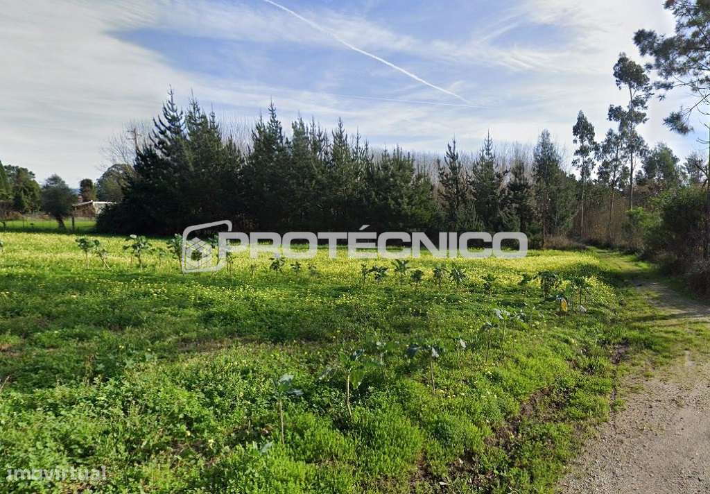Terreno c/ 1.400m2 – Carregal - Grande imagem: 3/6
