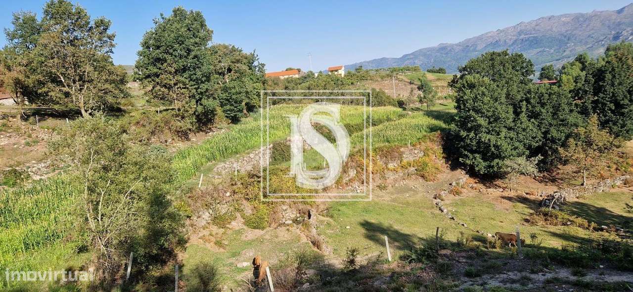 Terreno para venda- Espindo/Vieira do Minho- União das Freguesias de R - Grande imagem: 5/14