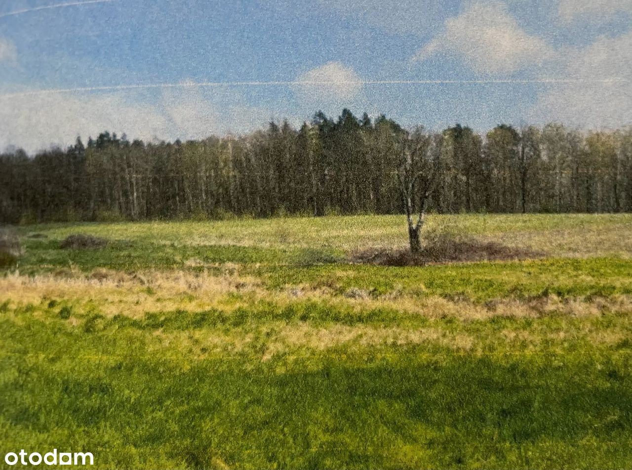 Syndyk sprzeda udział 1/4 własności gruntu