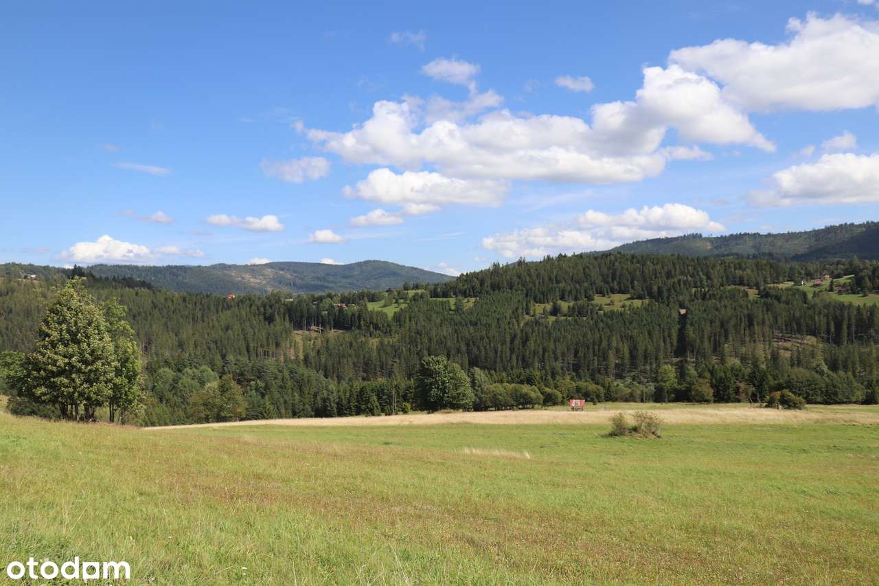 Działka do zabudowy, ok. 800mnpm, widok na góry i las - Pełny obrazek: 2/10