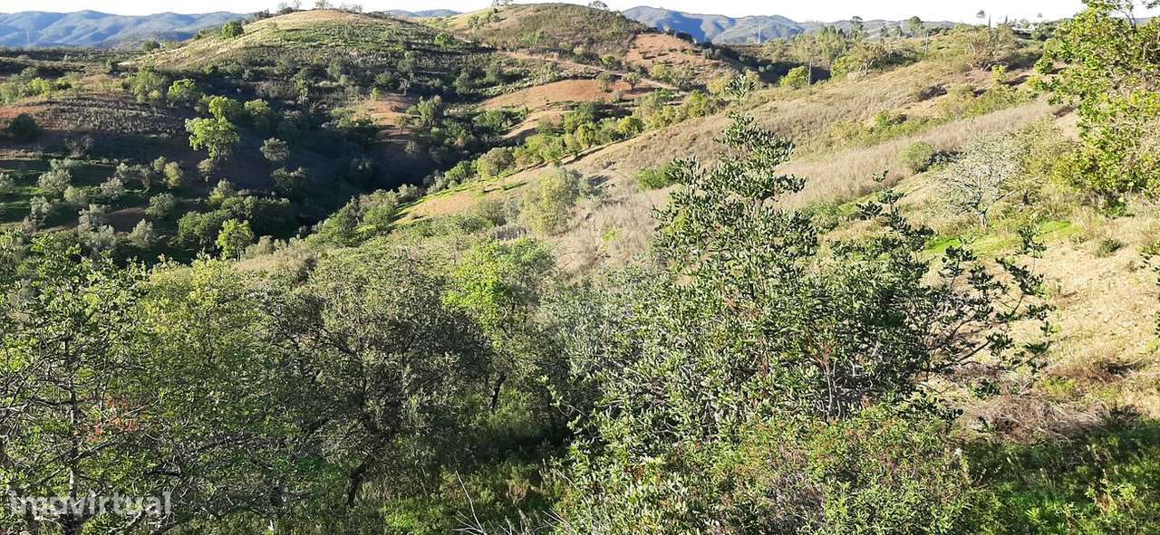 Terreno  para venda - Grande imagem: 4/4