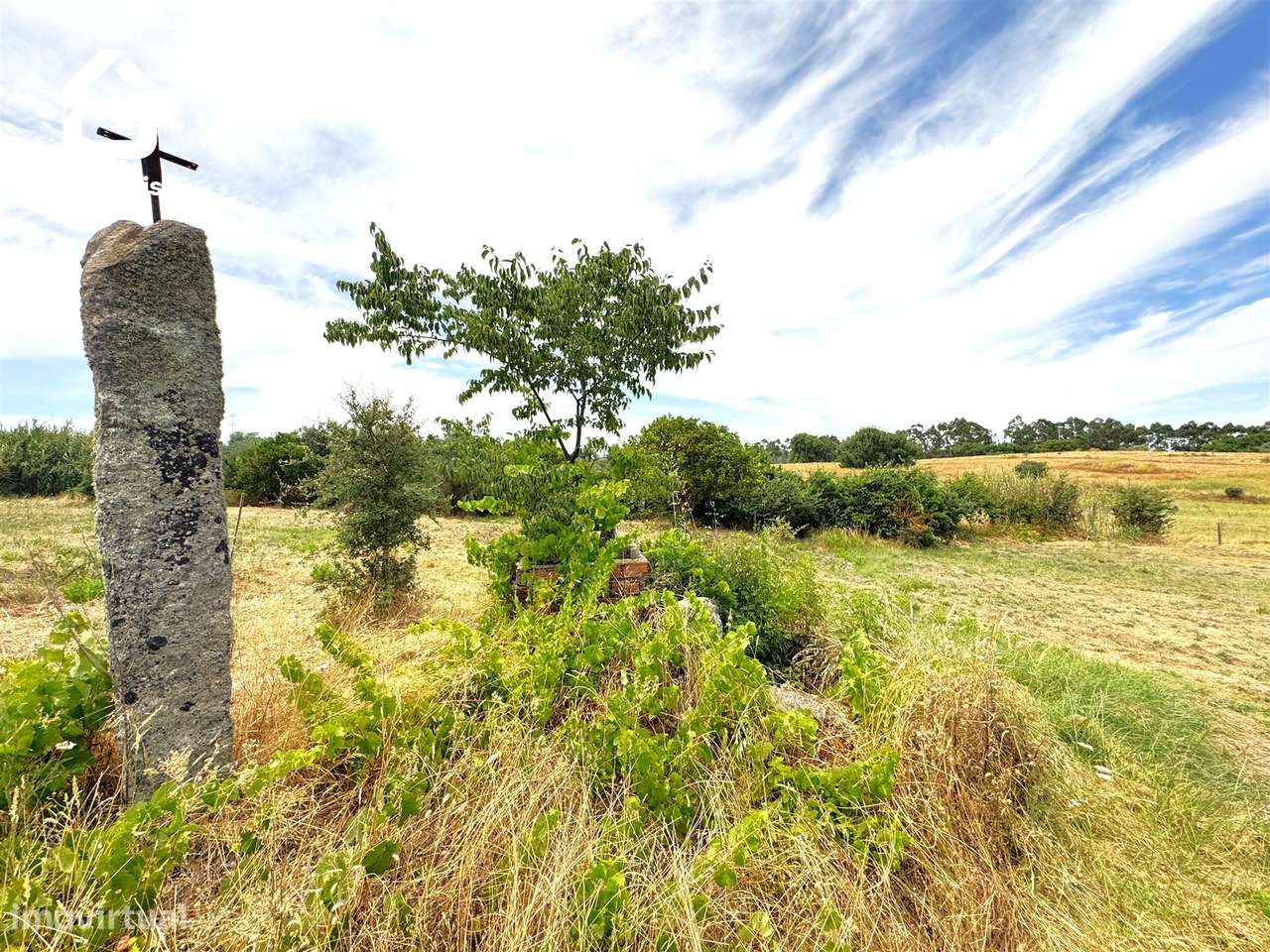 Quintinha  Venda em Escalos de Cima e Lousa,Castelo Branco-7